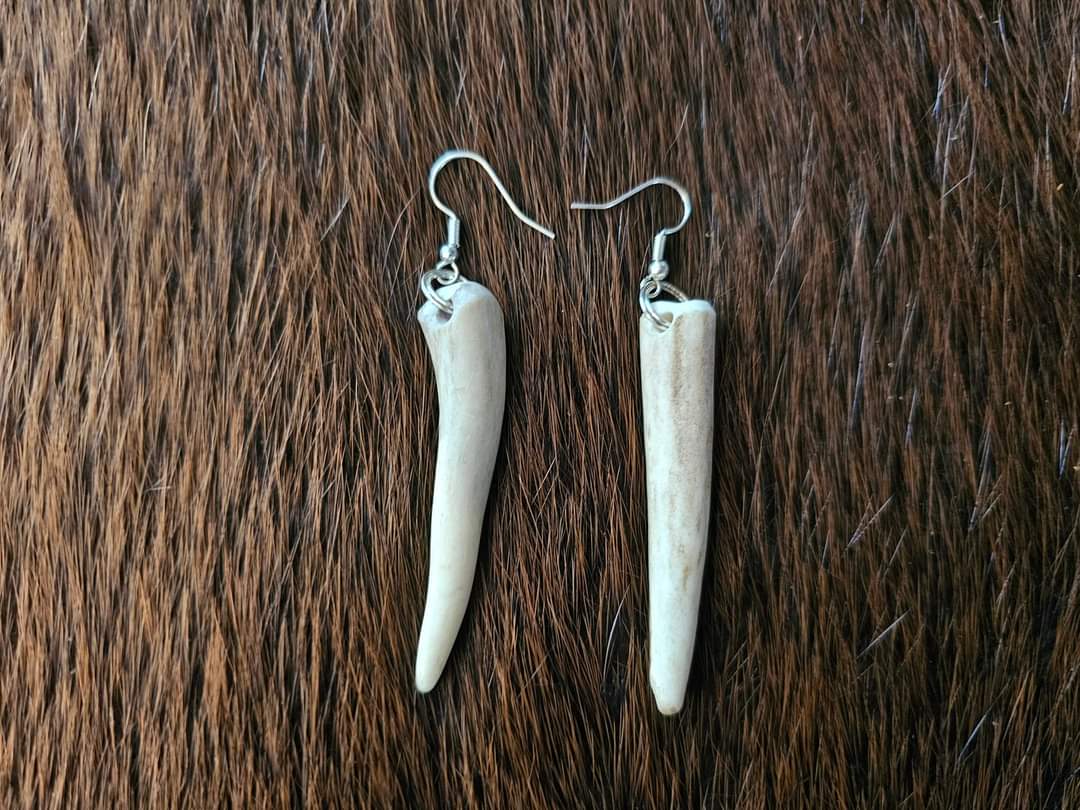 Elk Antler Tip Earrings