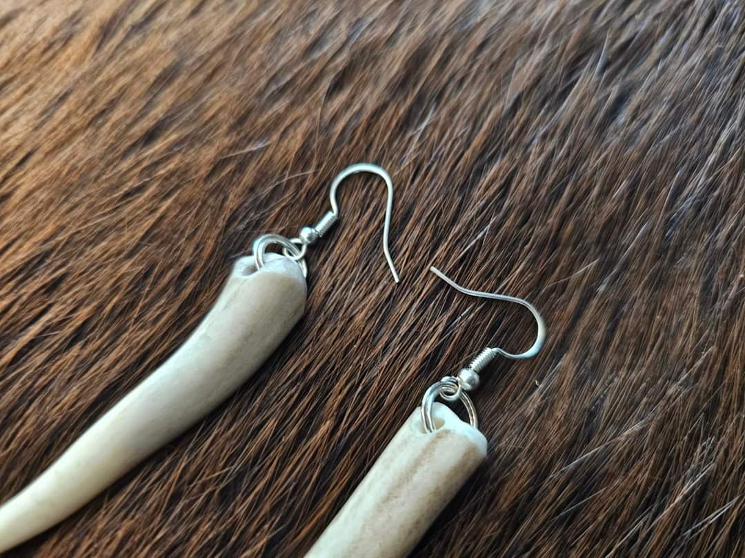 Elk Antler Tip Earrings