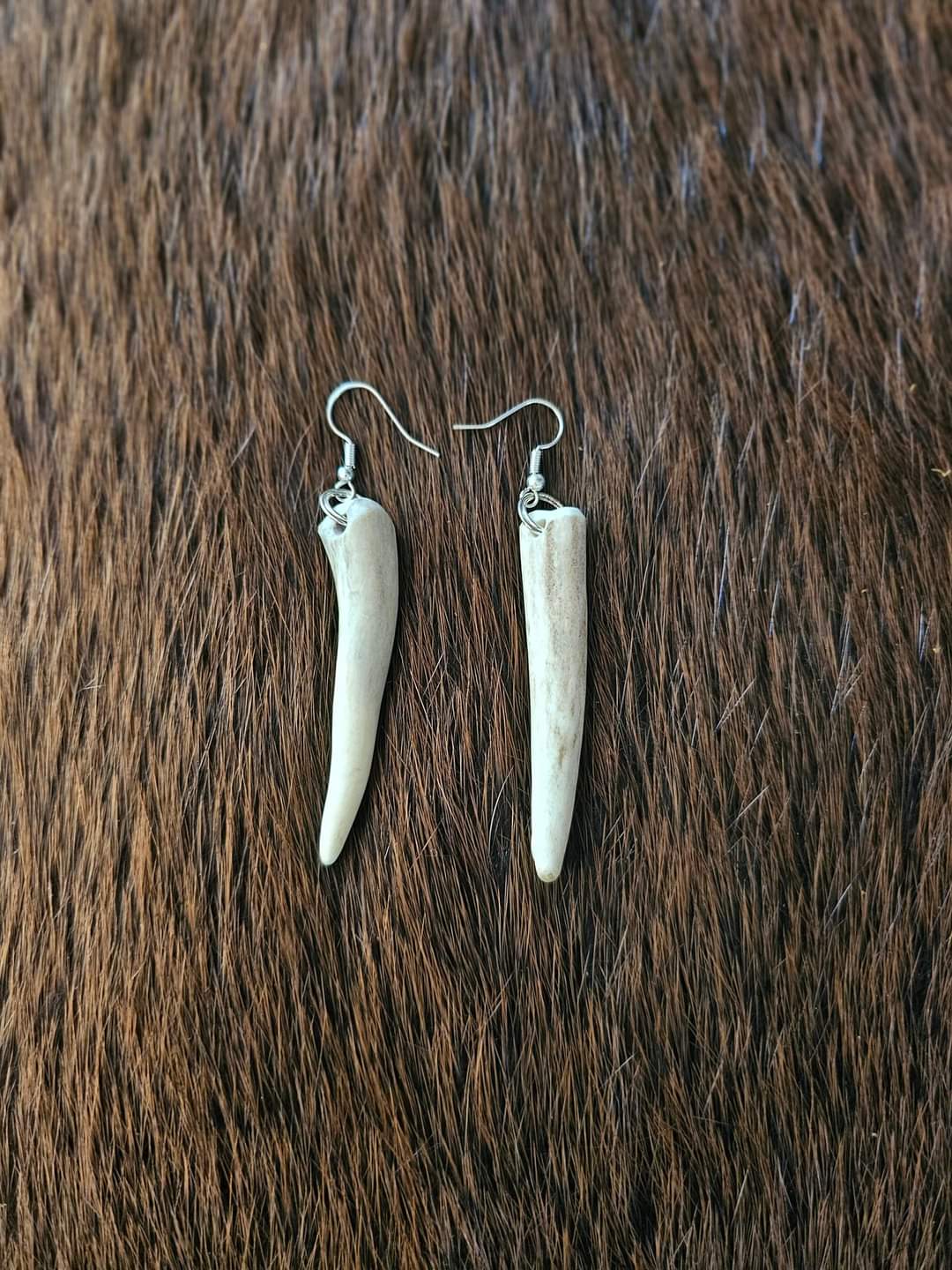 Elk Antler Tip Earrings