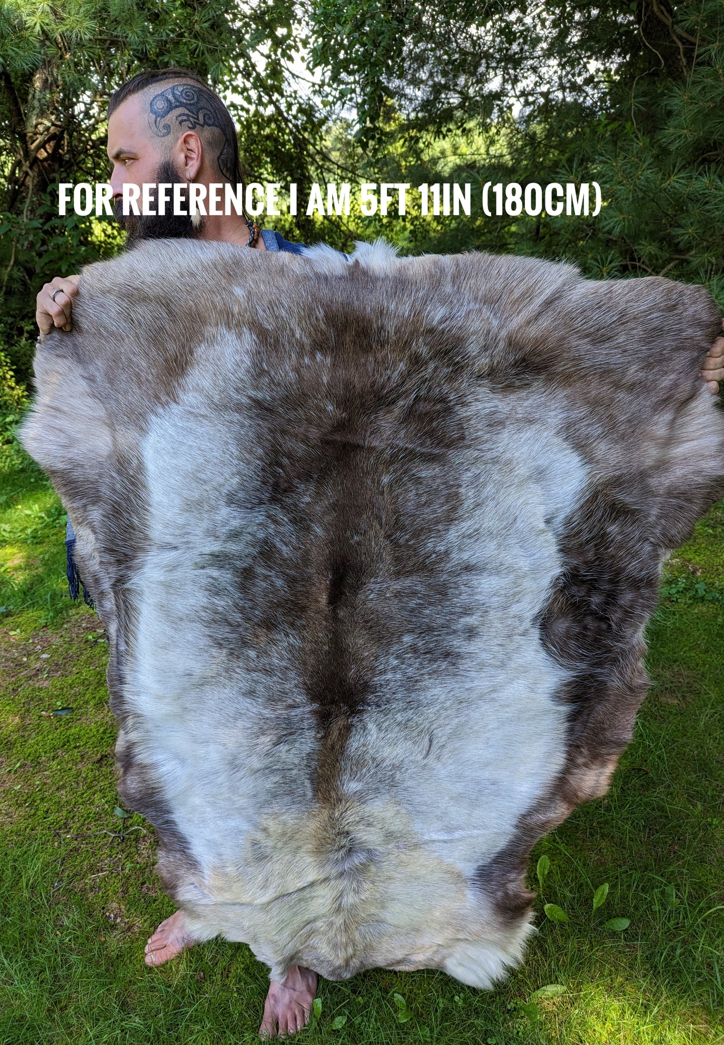 Large Finnish Reindeer Hide | Imported From Sápmi Lapland