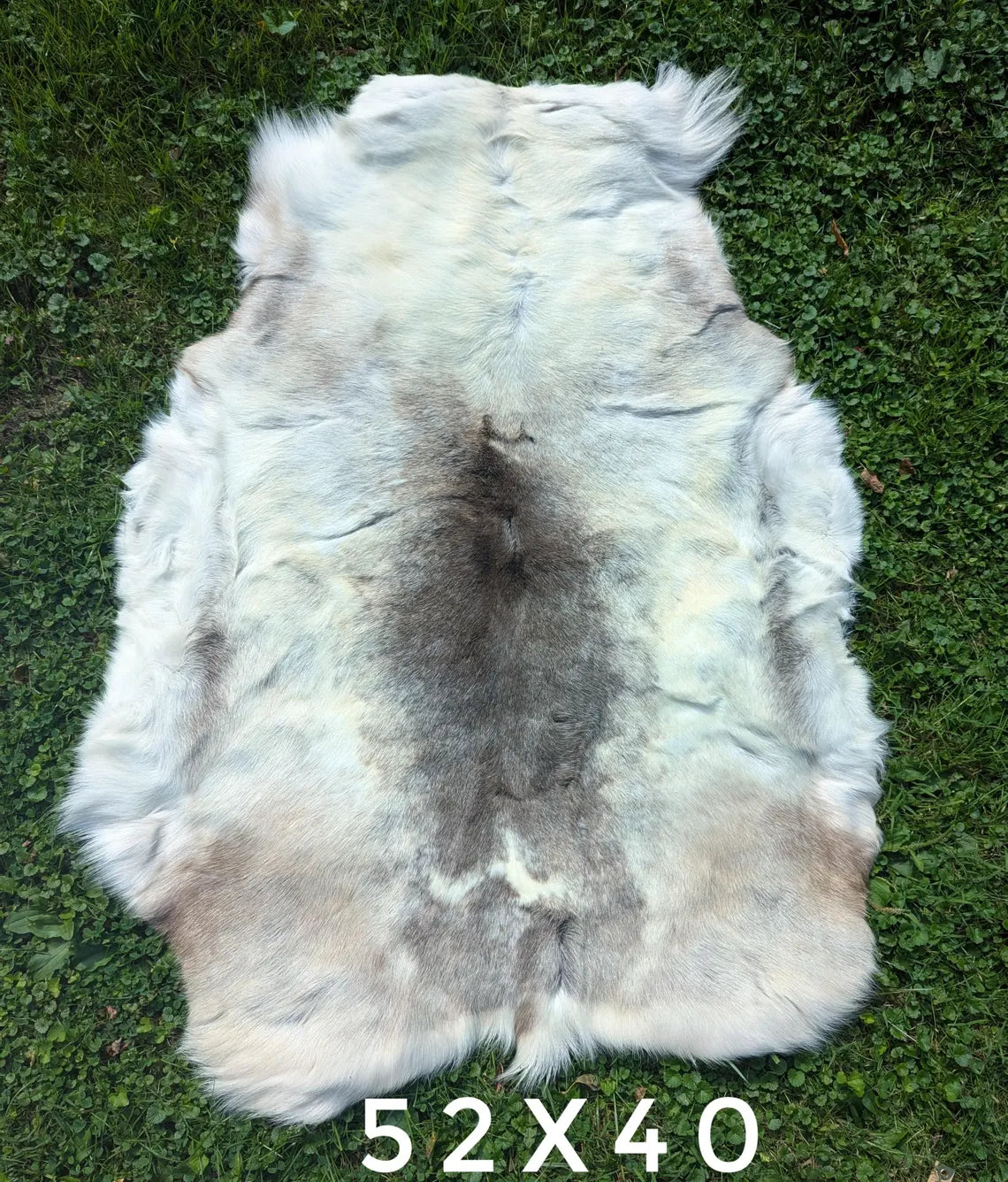 XXL Large Finnish Reindeer Hides | Imported From Sápmi Herders