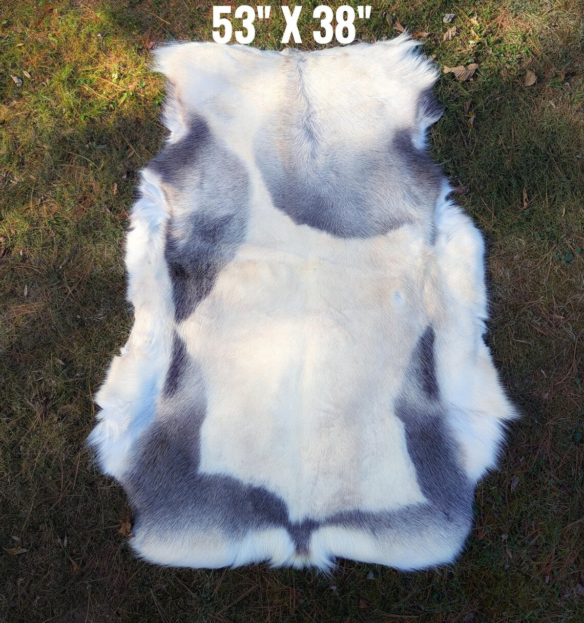 XXL Large Finnish Reindeer Hides | Imported From Sápmi Herders