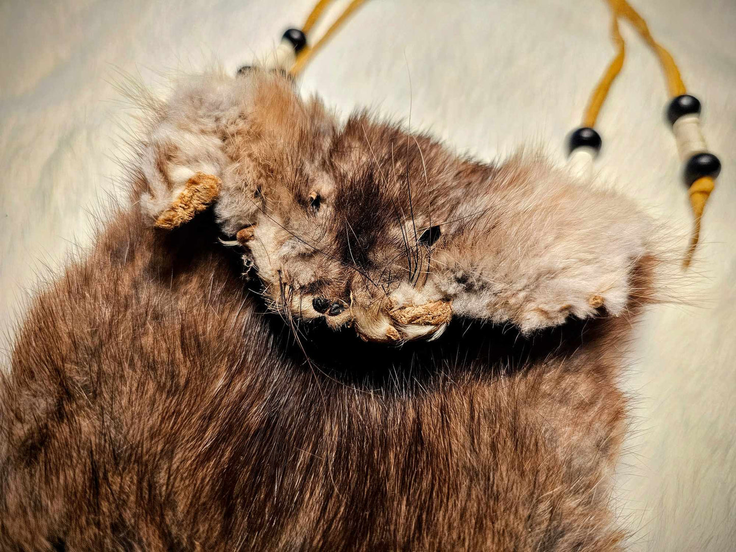 Muskrat Hide Pouch With Buckskin Ties & Buffalo Bone and Horn Beads