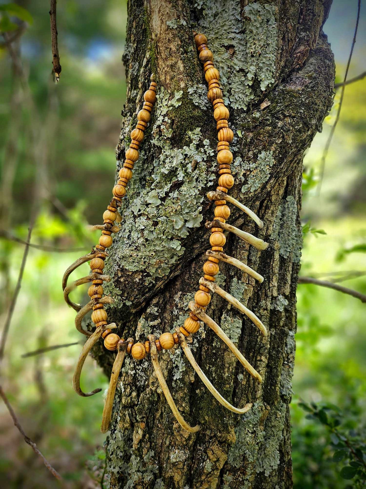 Coyote Rib Necklace With Wood Beads