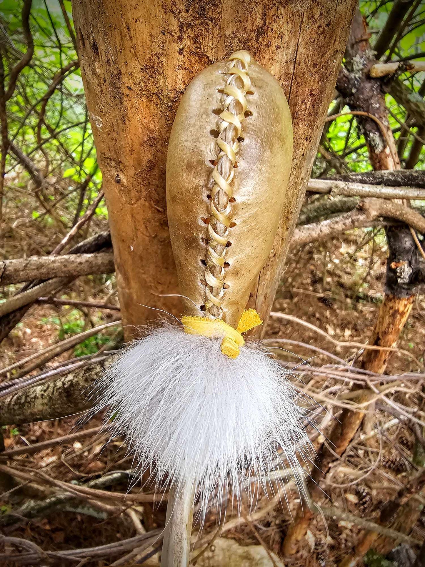 Coyote Bone and Deer Hide Shaman Medicine Rattle With Strap