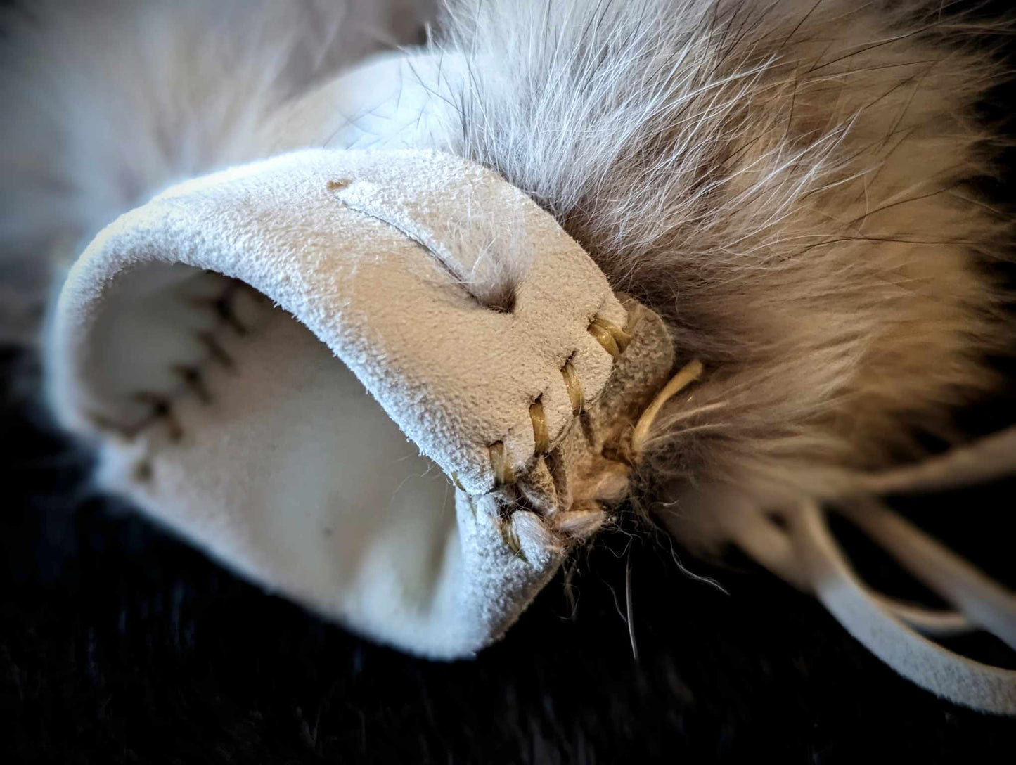 White Buckskin Coyote Fur Medicine Bag