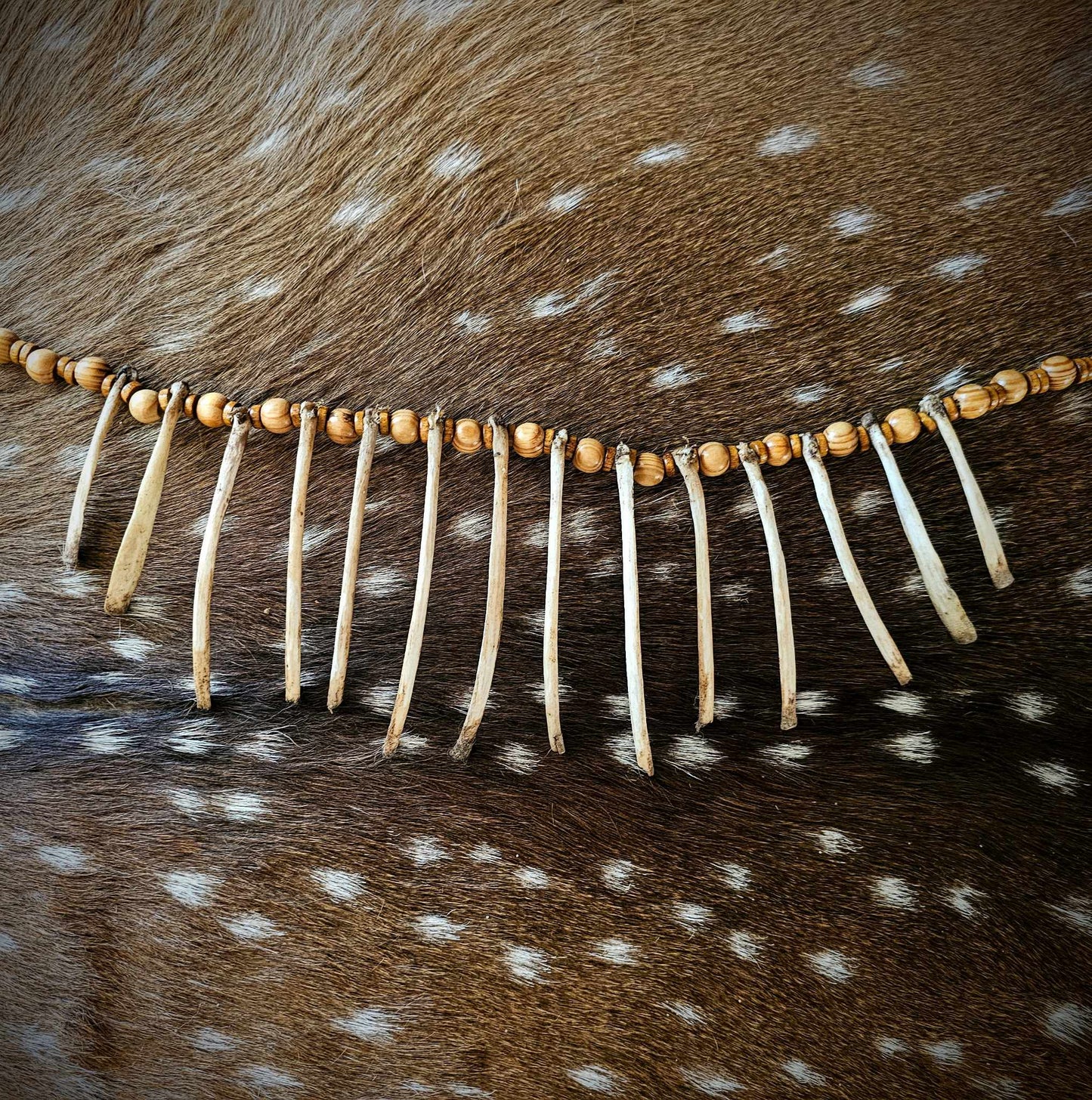 Coyote Rib Necklace With Wood Beads