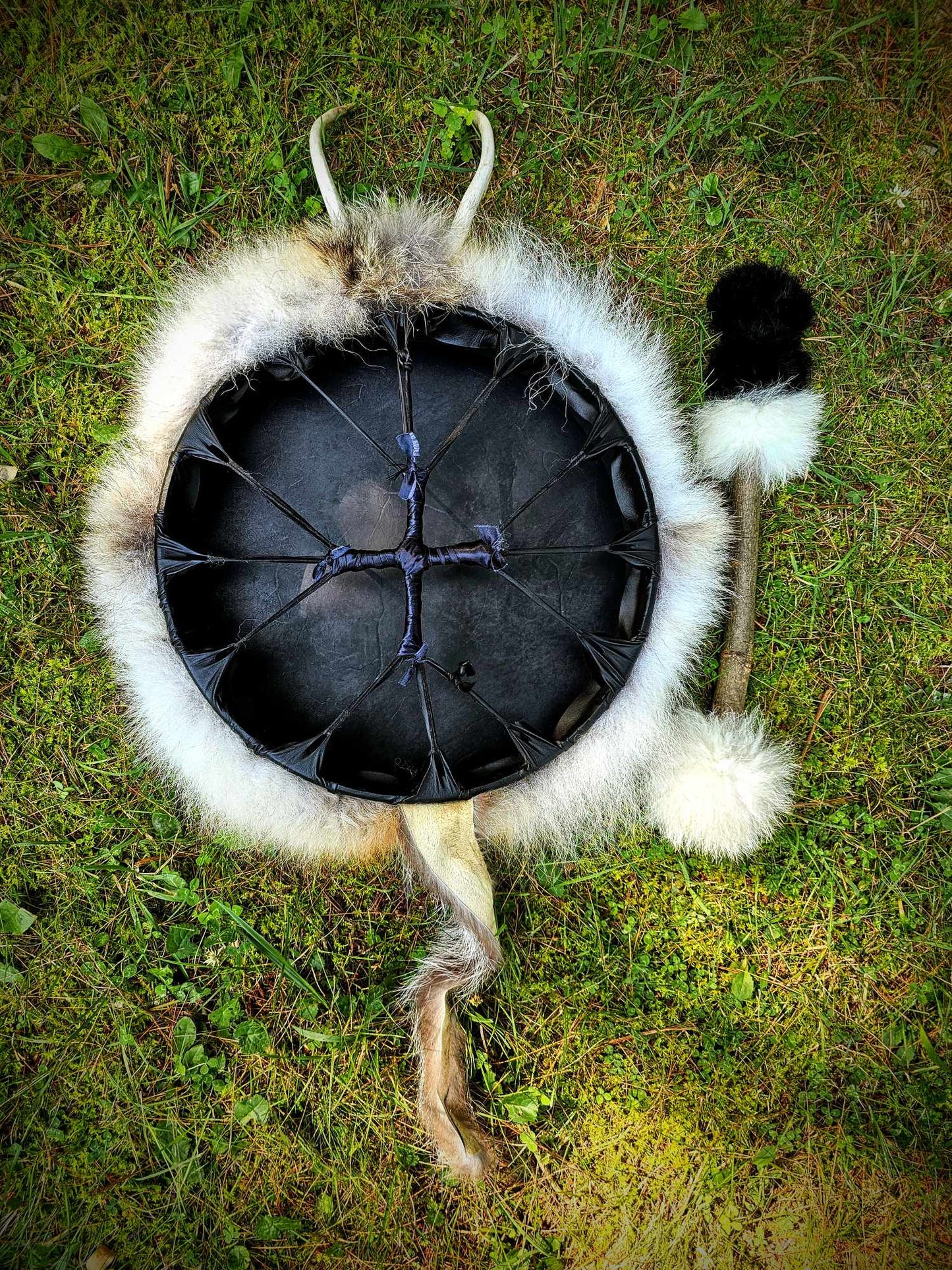 "Sun of All Seasons" Black Deer Hide Drum With Antler, Skull, Coyote and Wolf