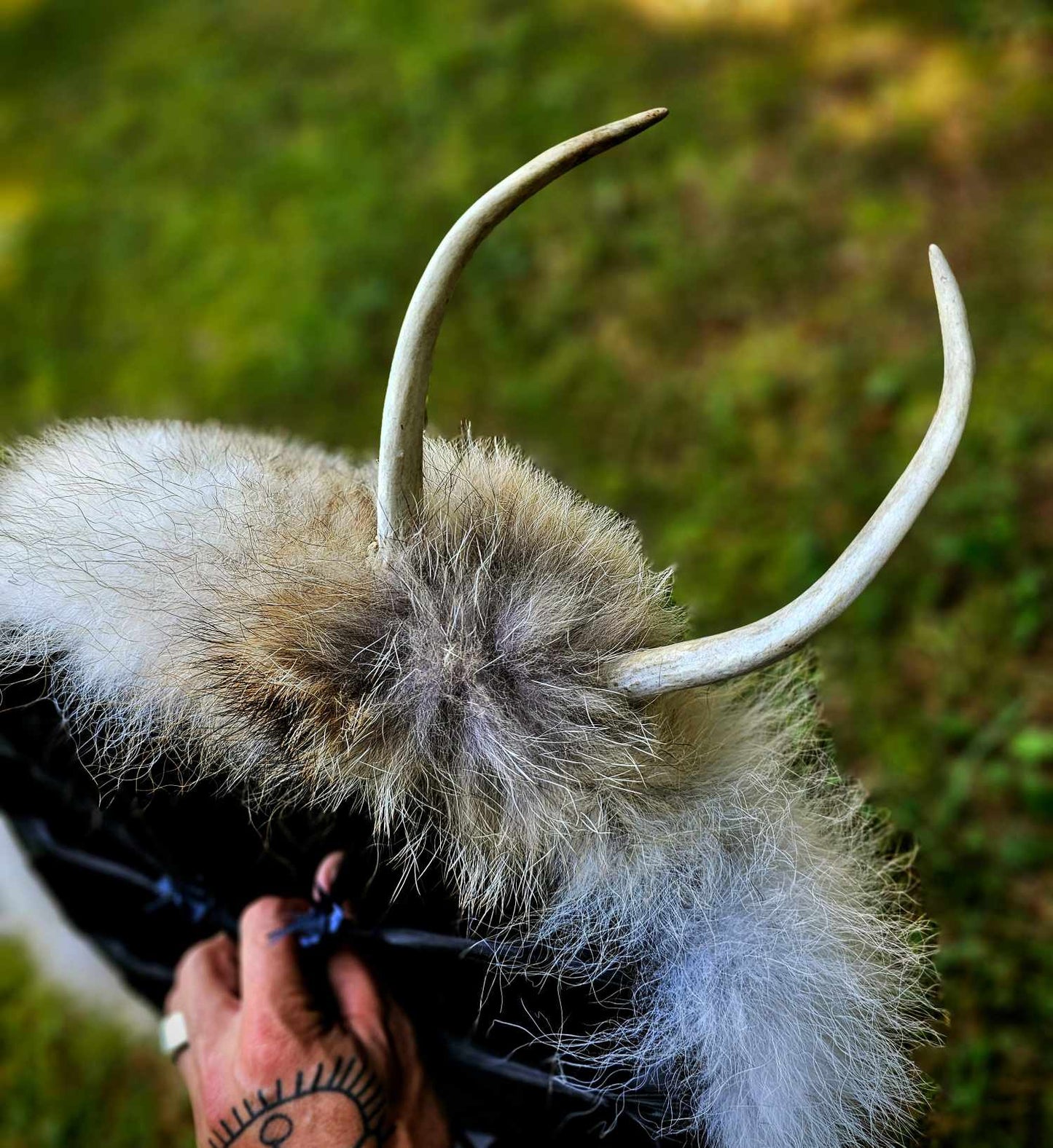 "Sun of All Seasons" Black Deer Hide Drum With Antler, Skull, Coyote and Wolf