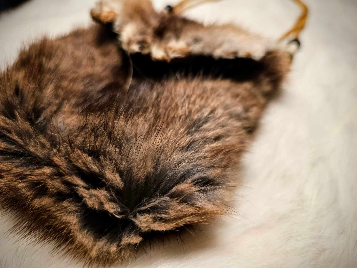 Muskrat Hide Pouch With Buckskin Ties & Buffalo Bone and Horn Beads