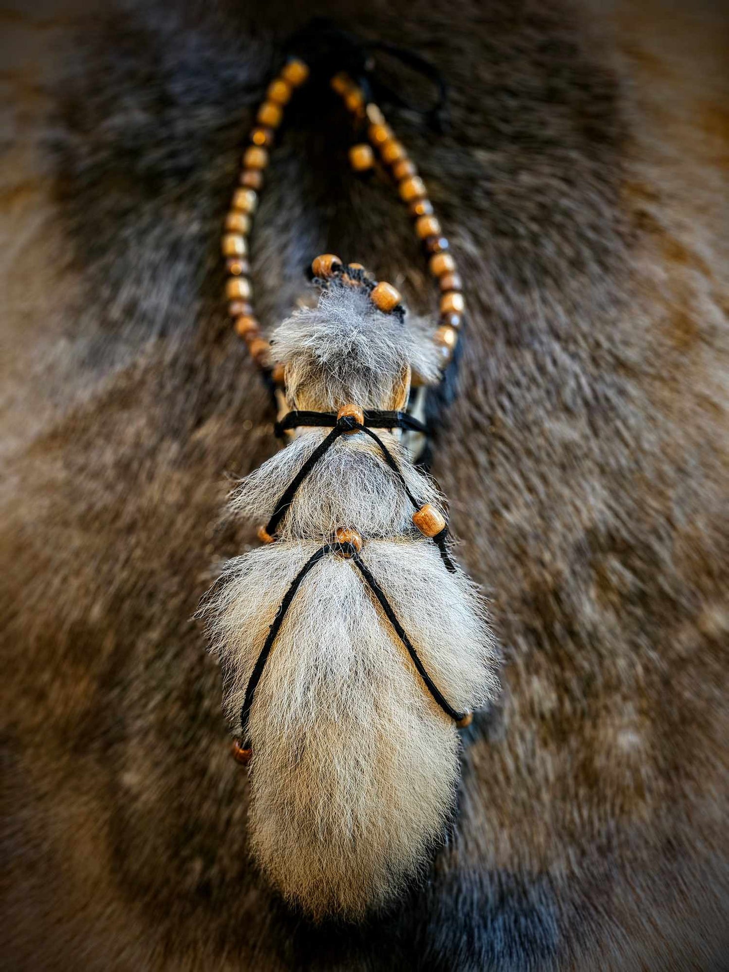 Skull And Coyote Tail Neck Talisman, Belt, Or Wall Hanging