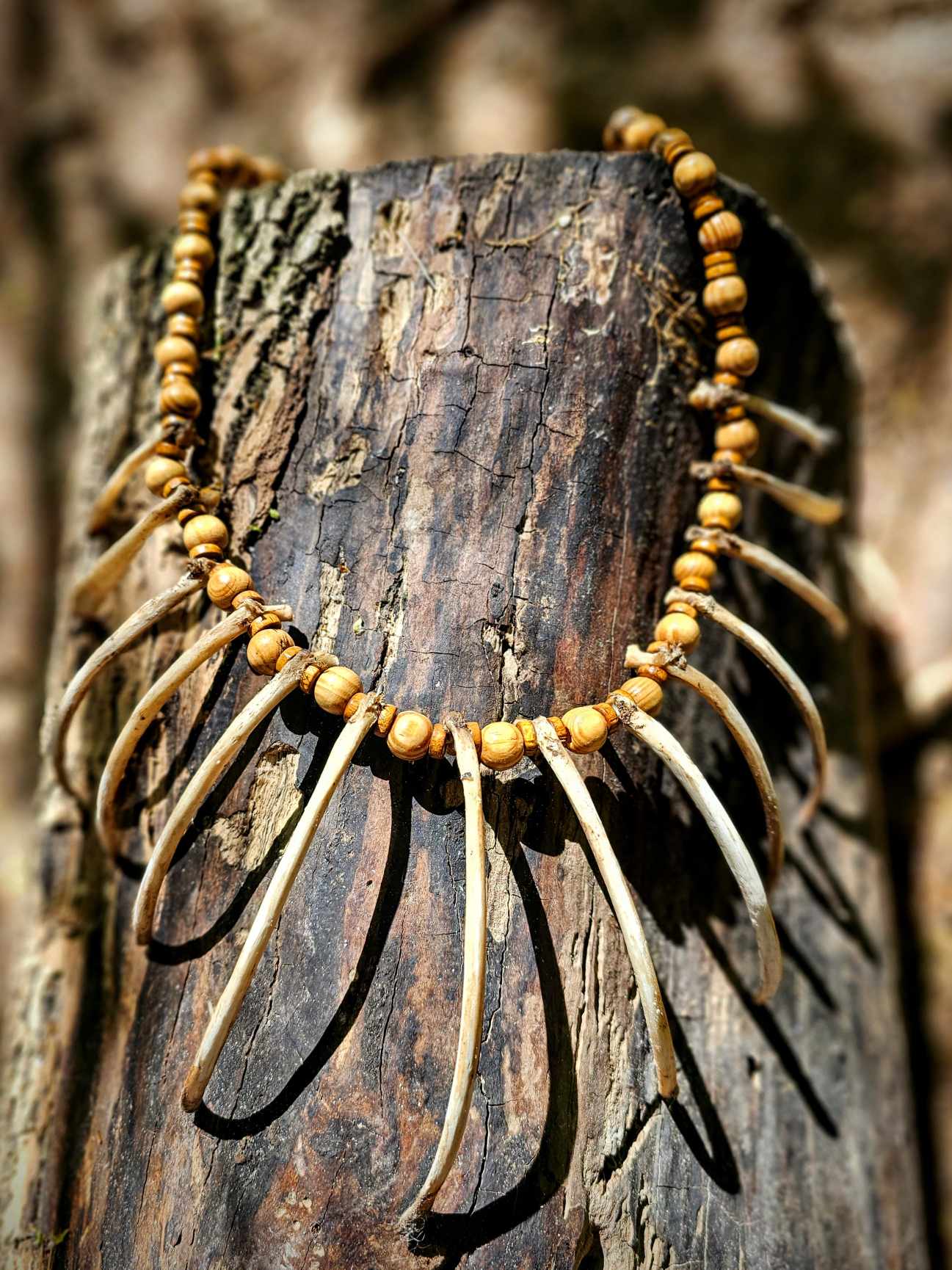 Coyote Rib Necklace With Wood Beads