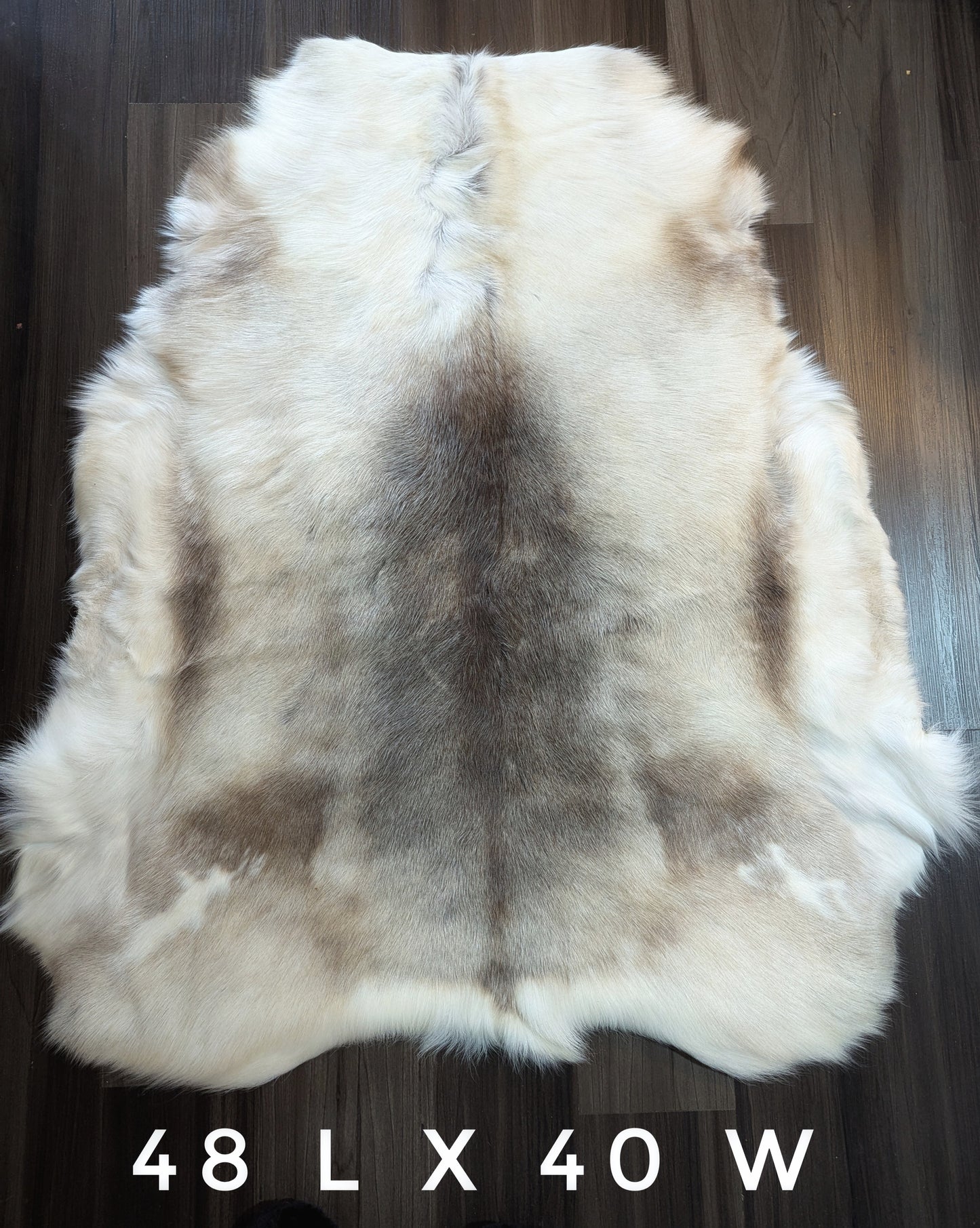 Large Finnish Reindeer Hide | Imported From Sápmi Herders