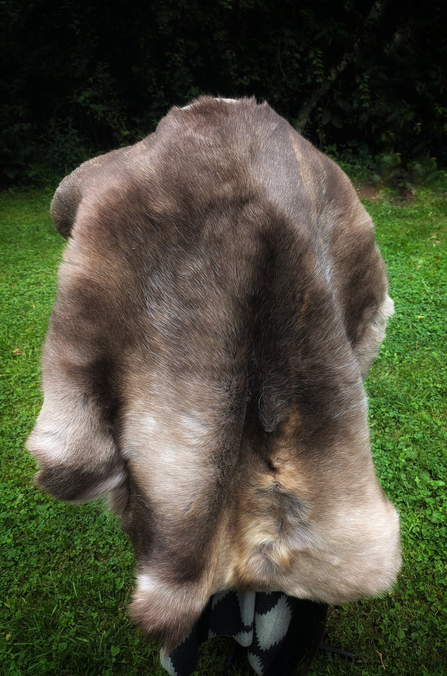 Reindeer Hide Cloak | Viking Cloak | Brown Wraparound Style Finnish Reindeer Fur Cloak | Adjustable