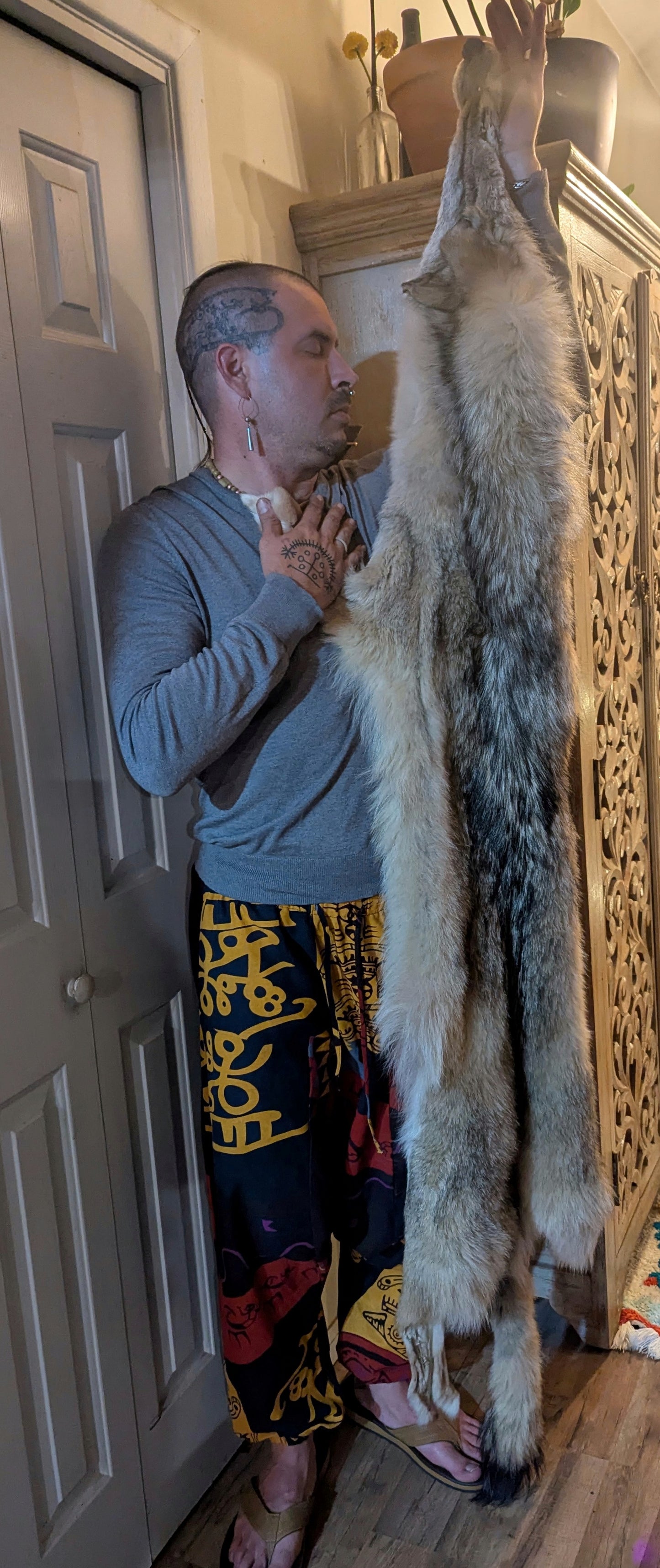 Wolf Hide #3