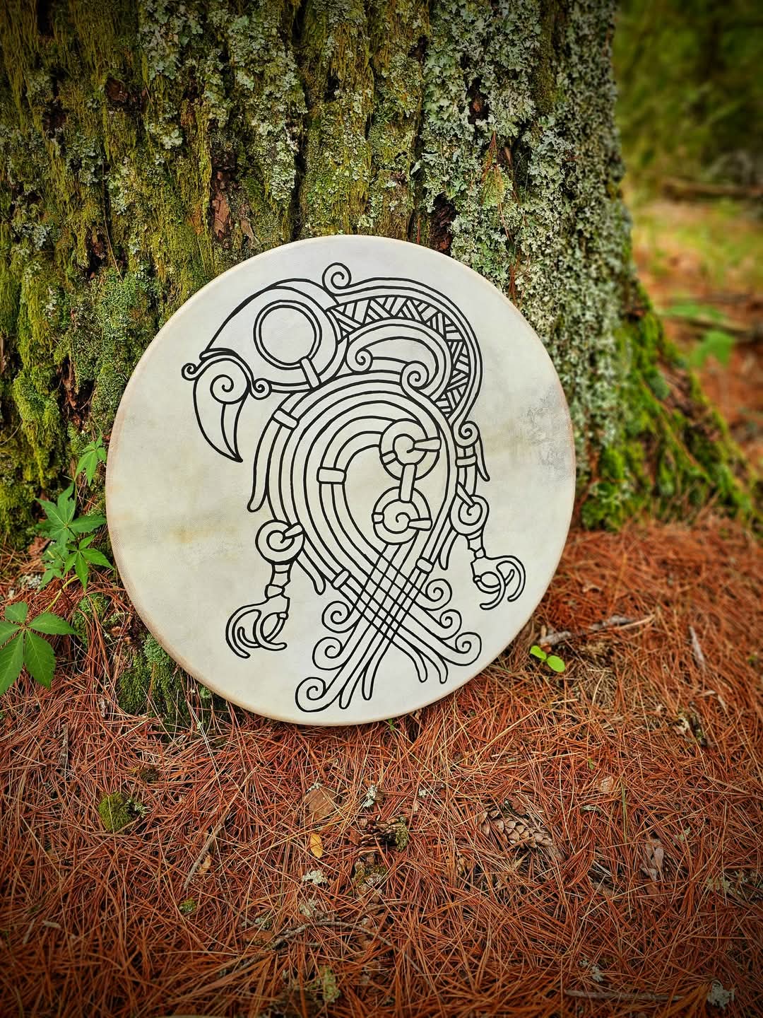 Vulture Drum