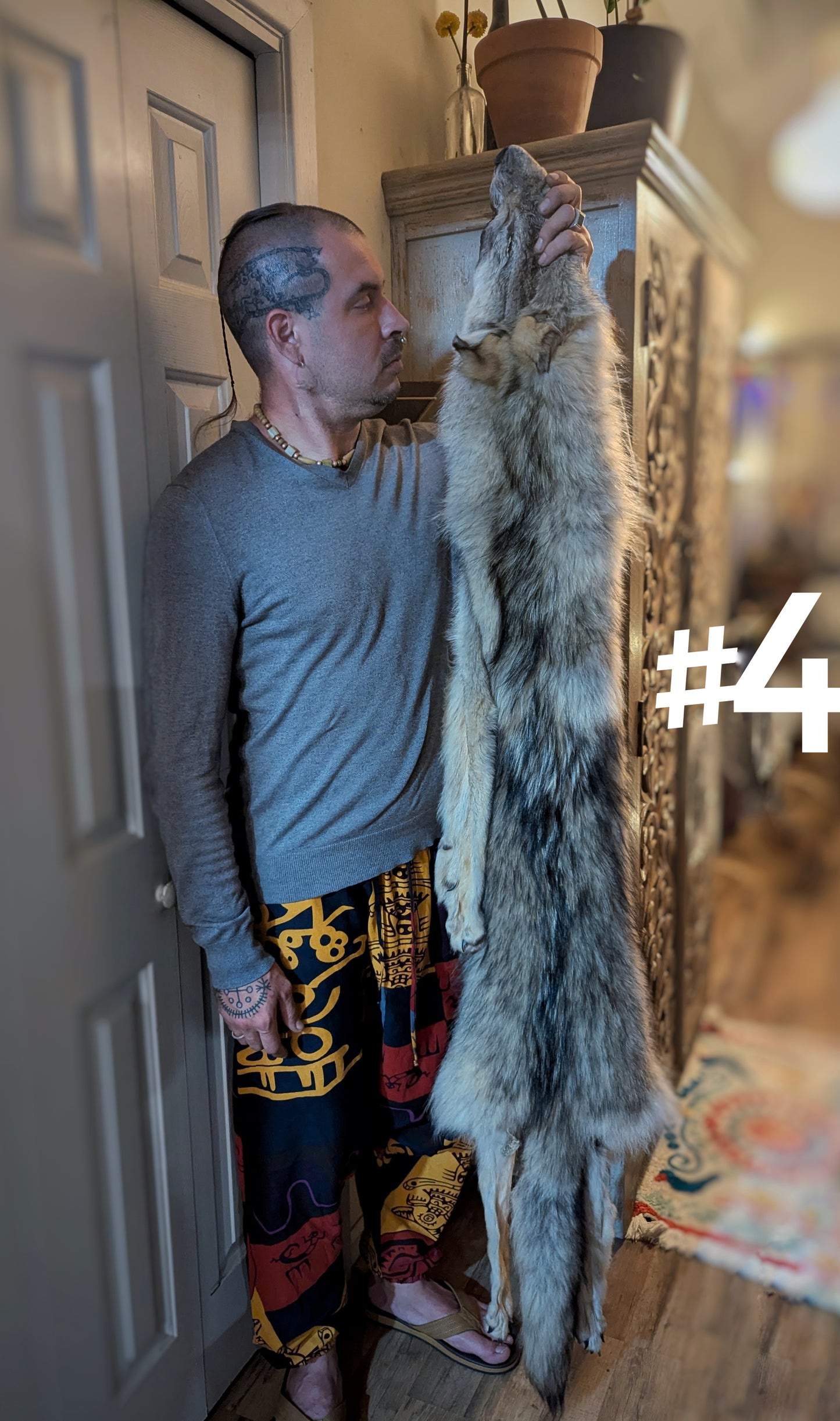 Wolf Hide #4