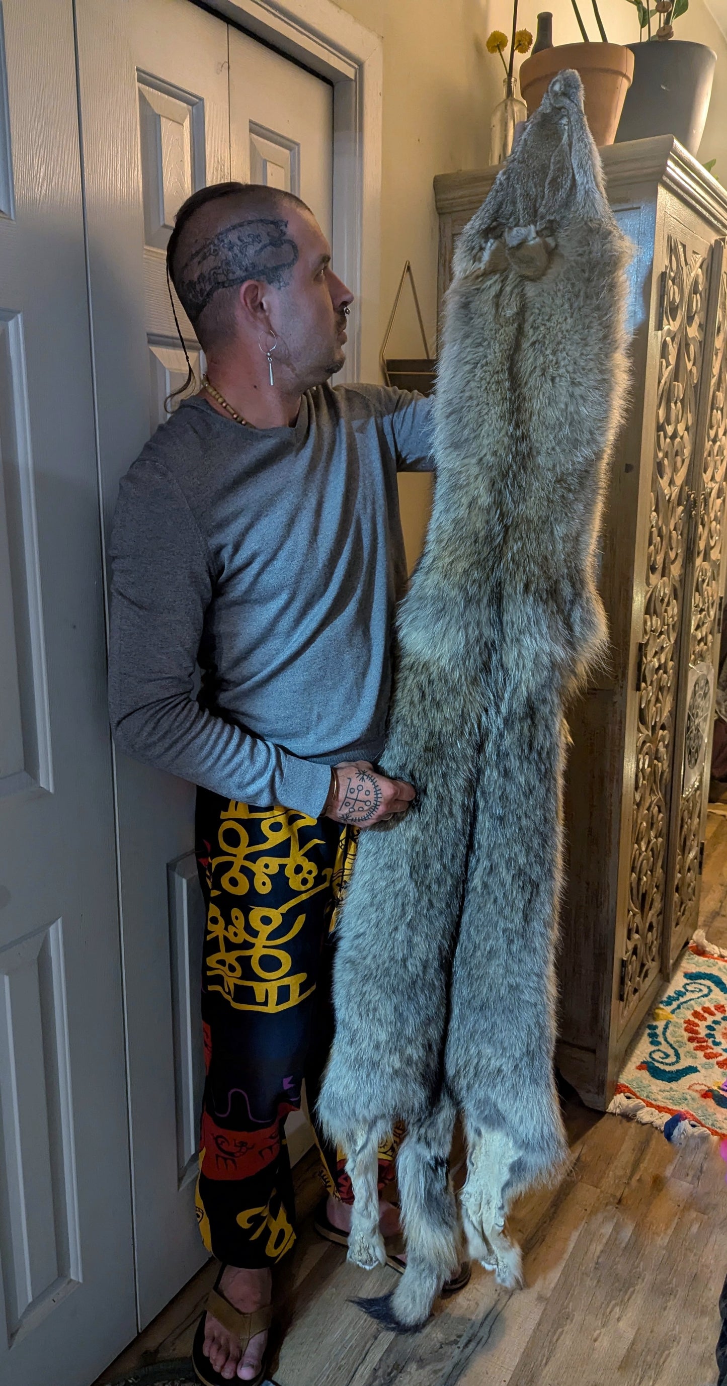 Wolf Hide #2