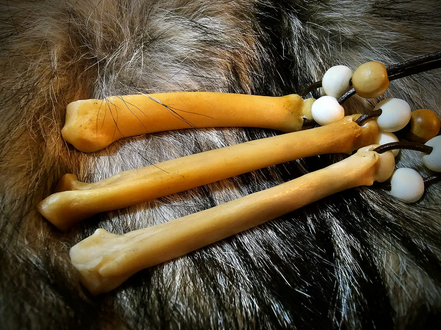 Wolf Bone Talisman Necklace