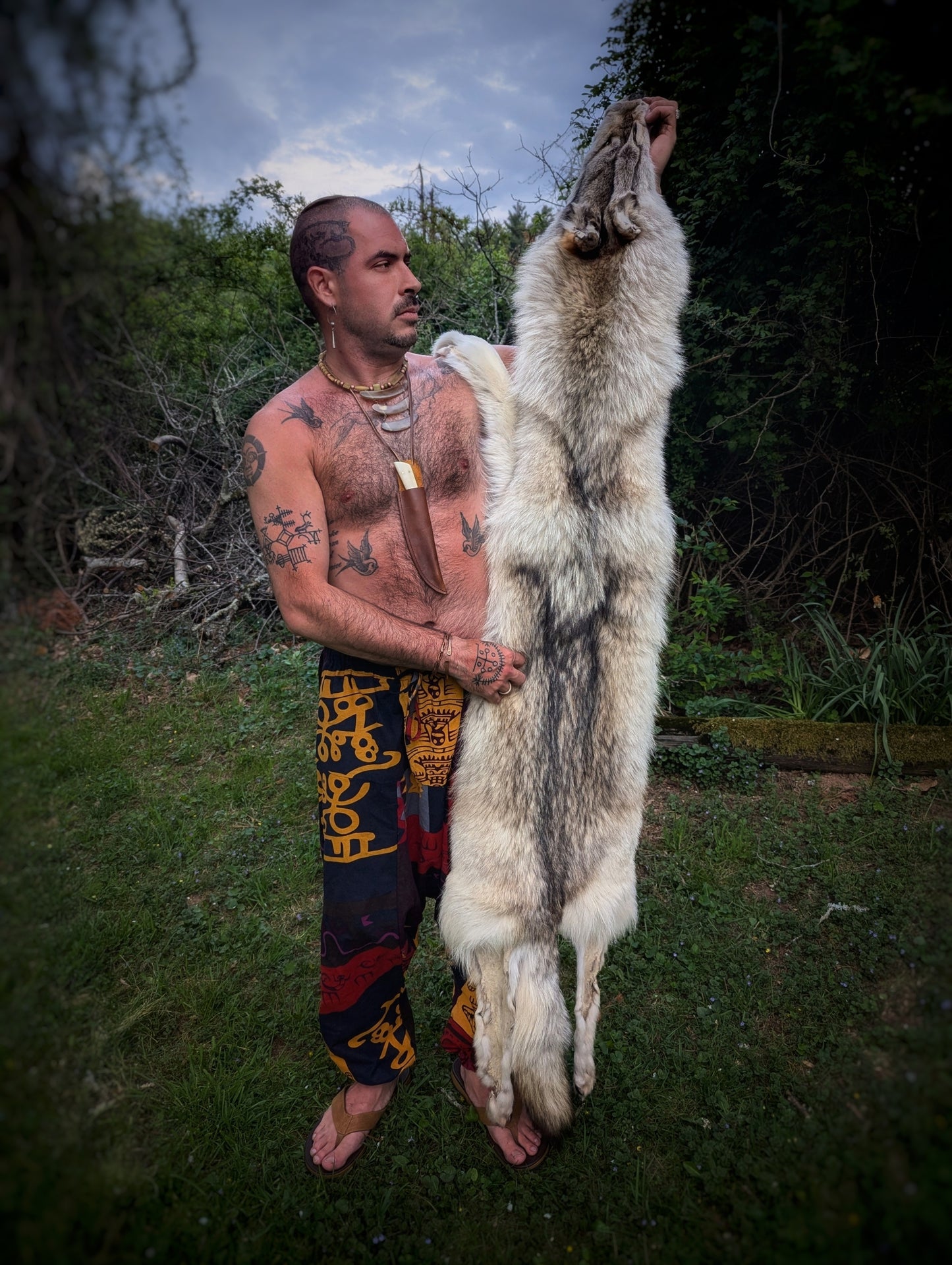 Wolf Hide #1