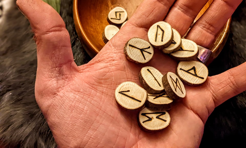 Set of 24 Alder Wood Elder Futhark Runes | Natural Branch