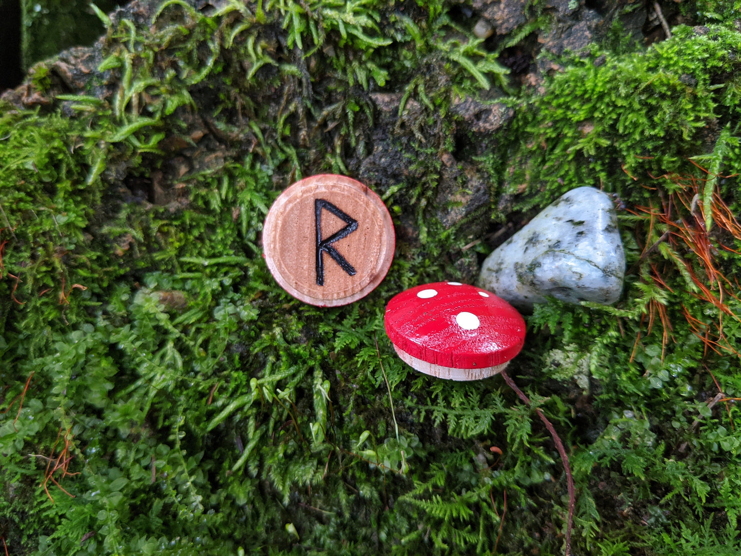 Mushroom Red Wood Rune Set Maple Norse + Box Hand Painted