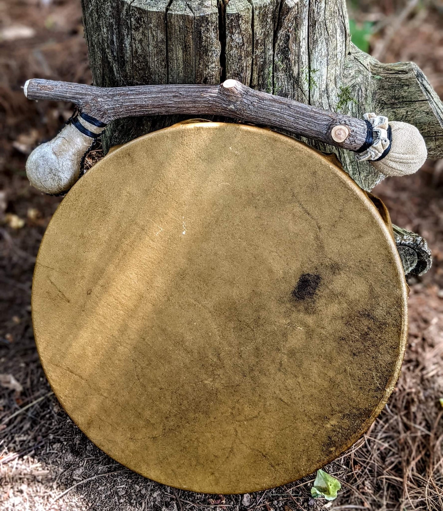 12" Bison Hide Drum With Rattle Ended Beater