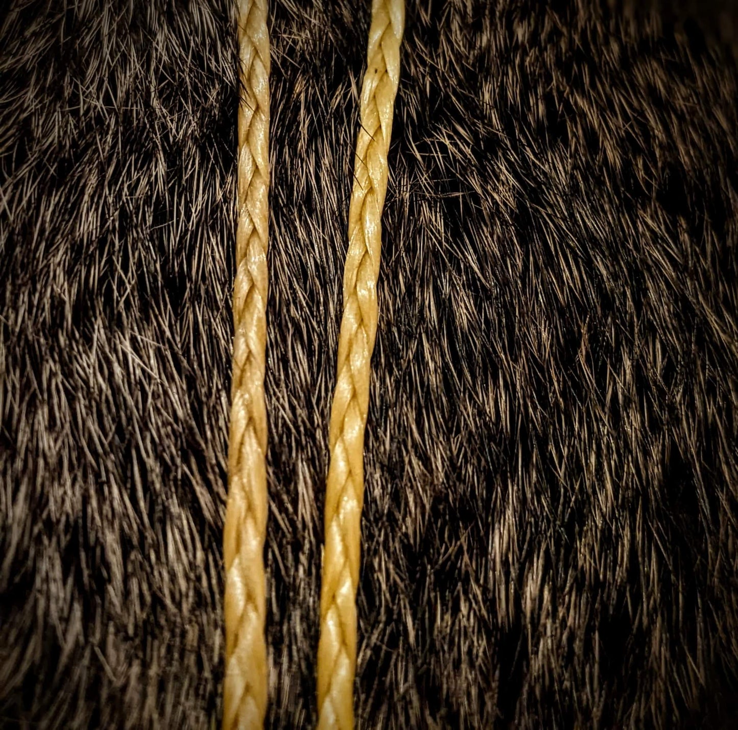 Hand Carved Elk Bone Fehu Pendant on Braided Sinew Cord