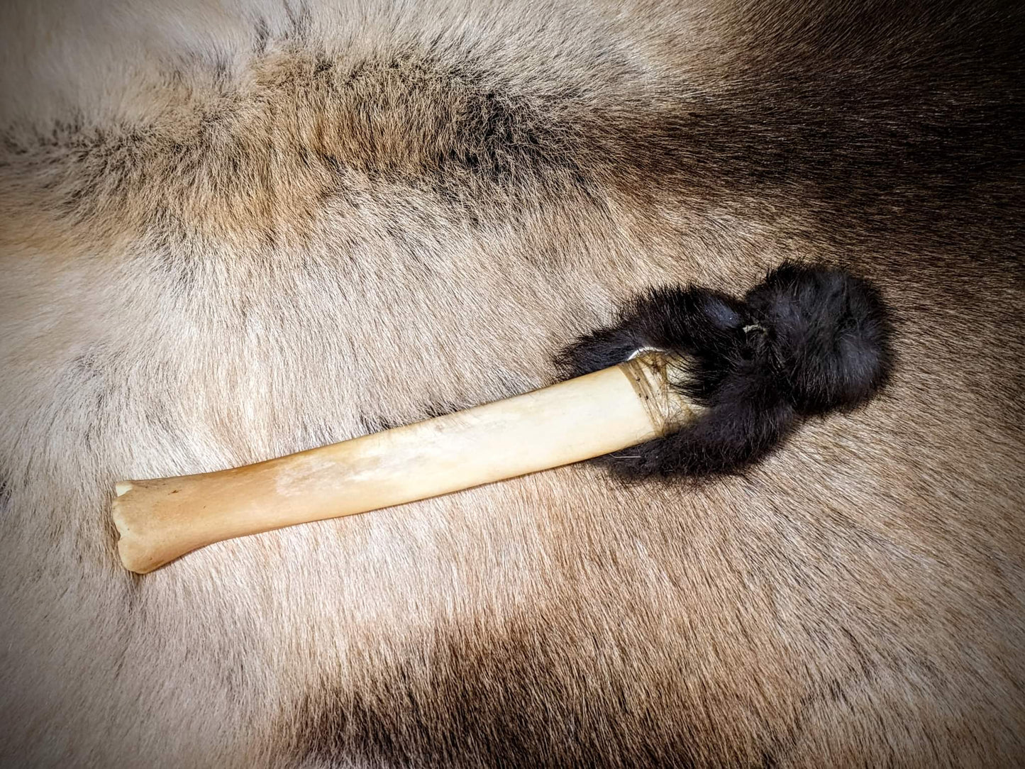 14" 24 Algiz Elk hide Sun Drum, Elk leg bone/ rabbit hide drum beater