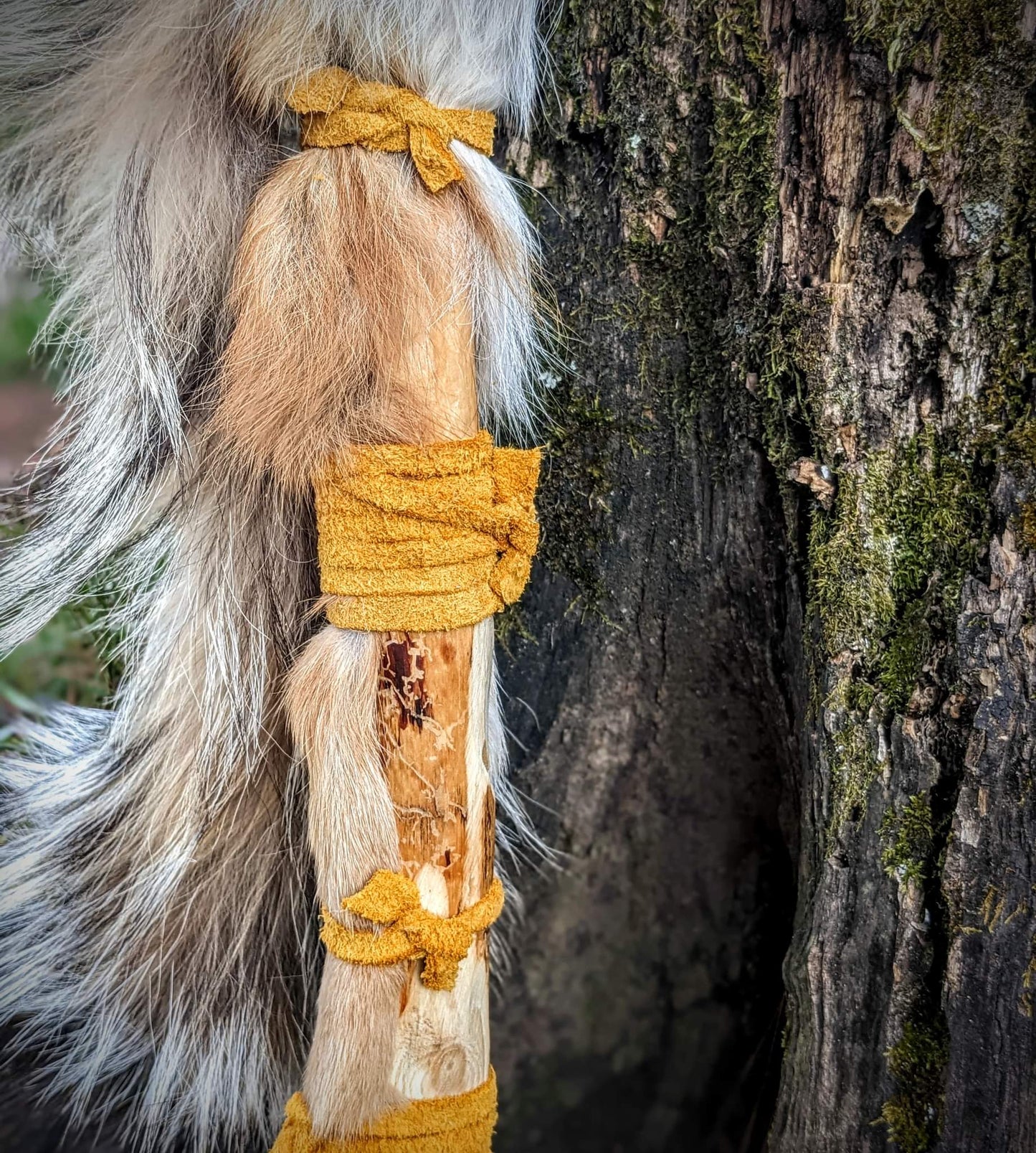 20 Inch Bison Drum With Guldbjörn 'Golden Bear' Shaman Rattle | Bear Hide | Coyote Fur | Deer Antler