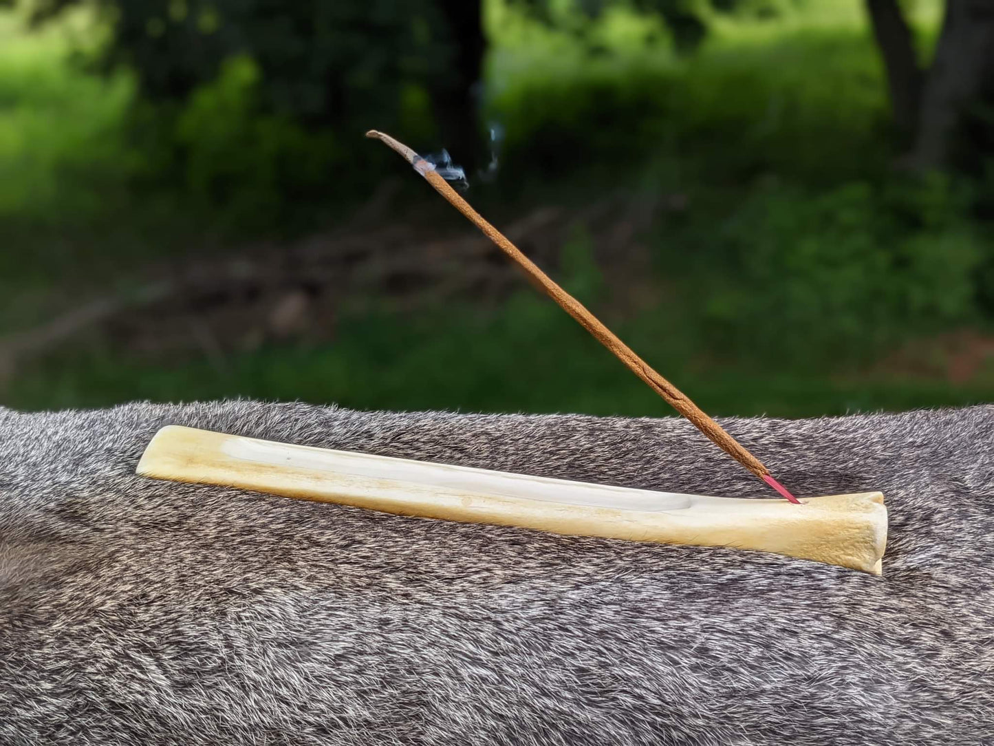 Elk Leg Bone Incense Burner | Incense Stick Holder