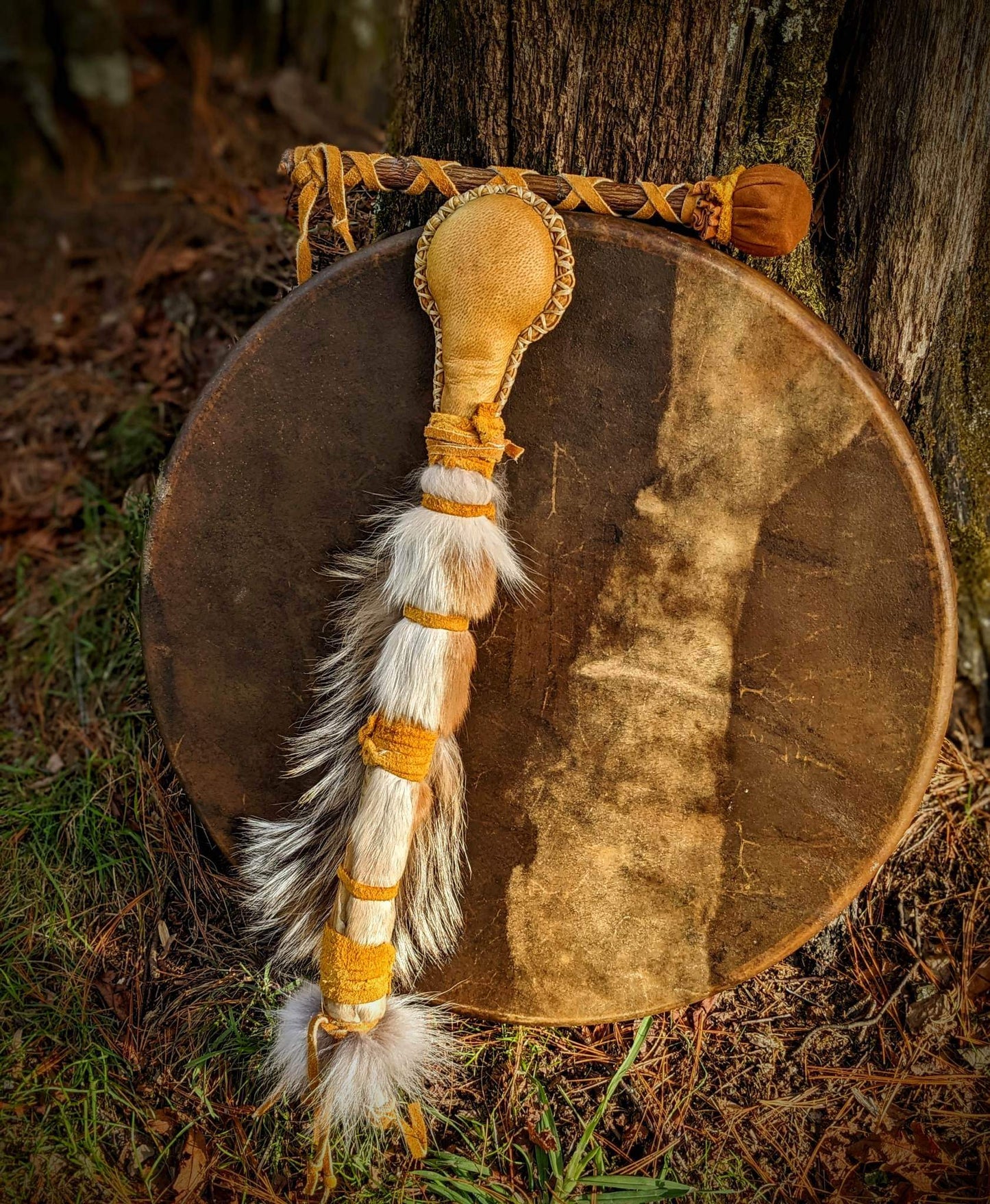 20 Inch Bison Drum With Guldbjörn 'Golden Bear' Shaman Rattle | Bear Hide | Coyote Fur | Deer Antler