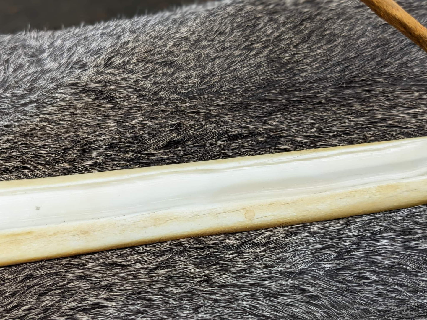 Elk Leg Bone Incense Burner | Incense Stick Holder