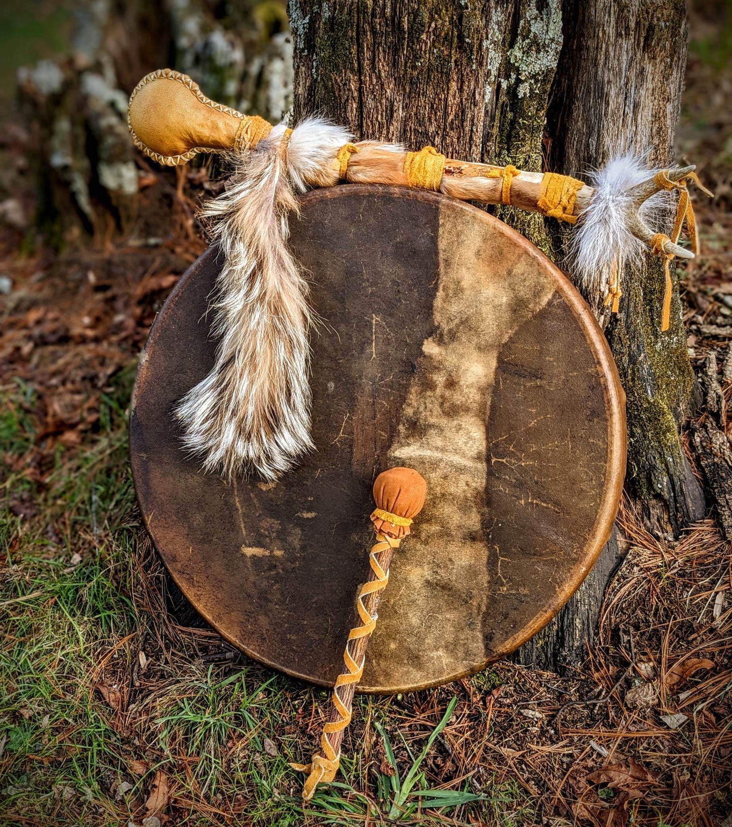 20 Inch Bison Drum With Guldbjörn 'Golden Bear' Shaman Rattle | Bear Hide | Coyote Fur | Deer Antler