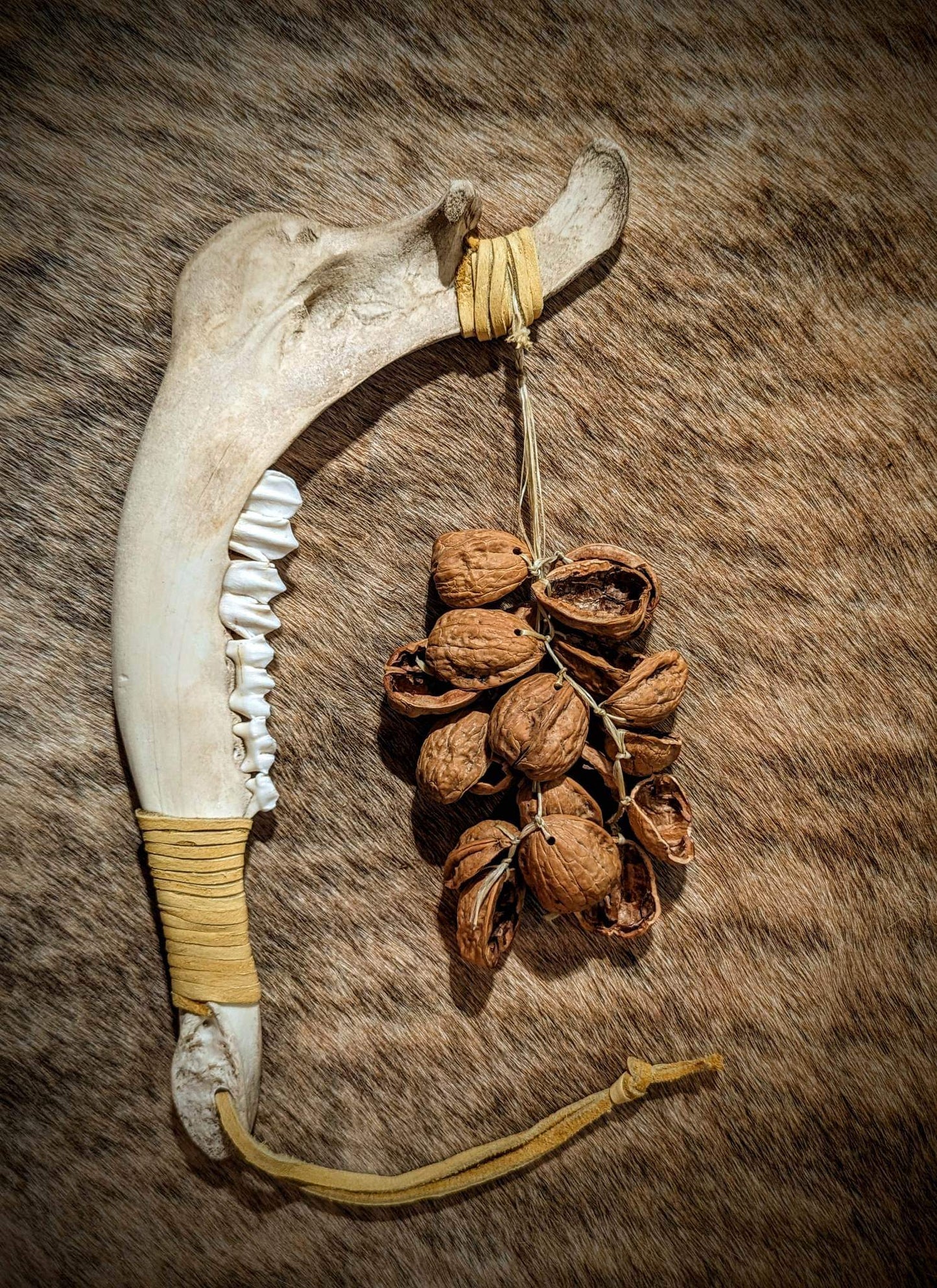 Elk Jaw Bone Walnut Rattle